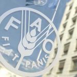 FAO: Offerte di Lavoro