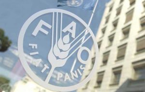 FAO: Offerte di Lavoro