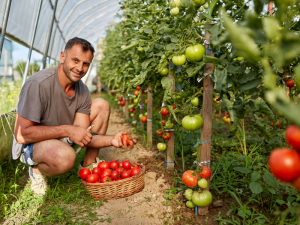 Disoccupazione agricola e bonus 2023: Tutto quello che c'è da sapere