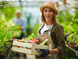 Immagine rappresentativa del Bonus per Giovani Agricoltori nella Regione Marche