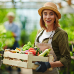 Novità Irpef agricola 2024 e impatto sul settore