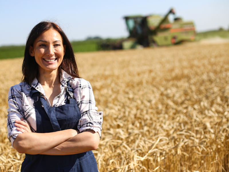 Disoccupazione agricola in Italia nel 2024: requisiti, domanda e importo