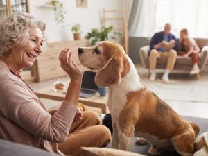 Bonus animali domestici 2024: Tutto ciò che devi sapere