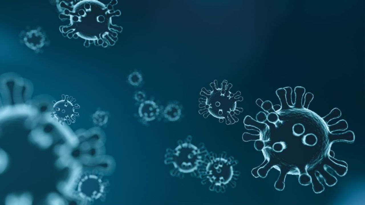 Virus Oropouche: sta dilagando in questi paese | Tutti gli avvertimenti ai turisti